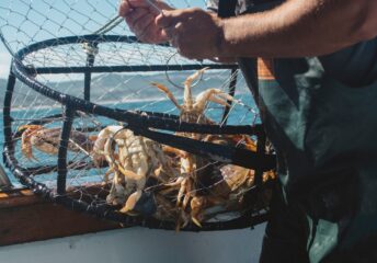 Best places in the US to go crabbing