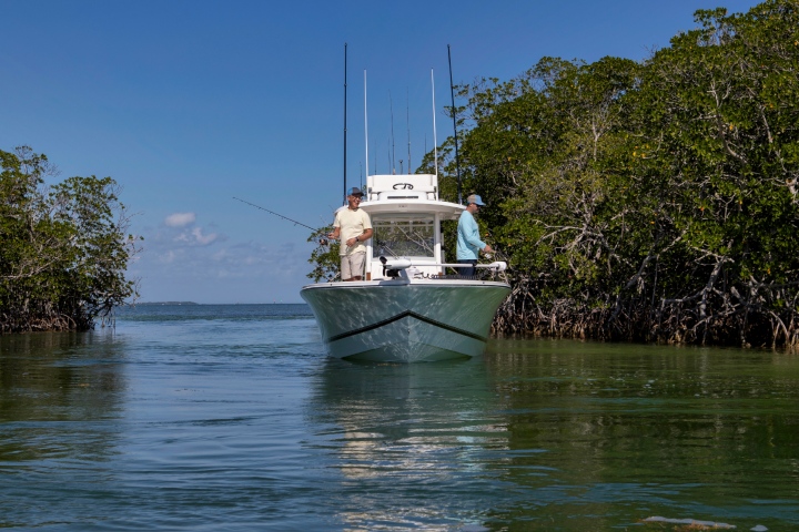 mangrove fishing tips