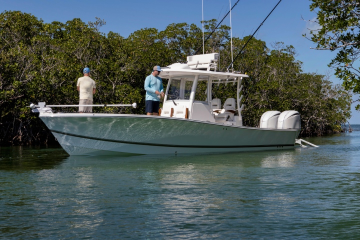 mangrove fishing how to